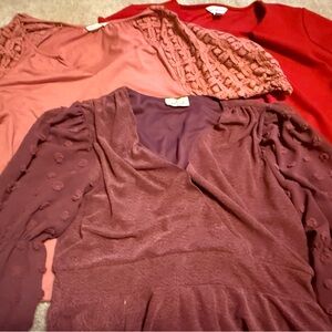 Set of Three Red and Pink Tops